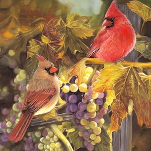 1285 Cardinal Pair and Grape Harvest Cotton Fabric Panel from David Textiles - 35.5&quot; Wide x 44&quot; Long, for Bird Lovers&#39; Wall Hanging or Quilt