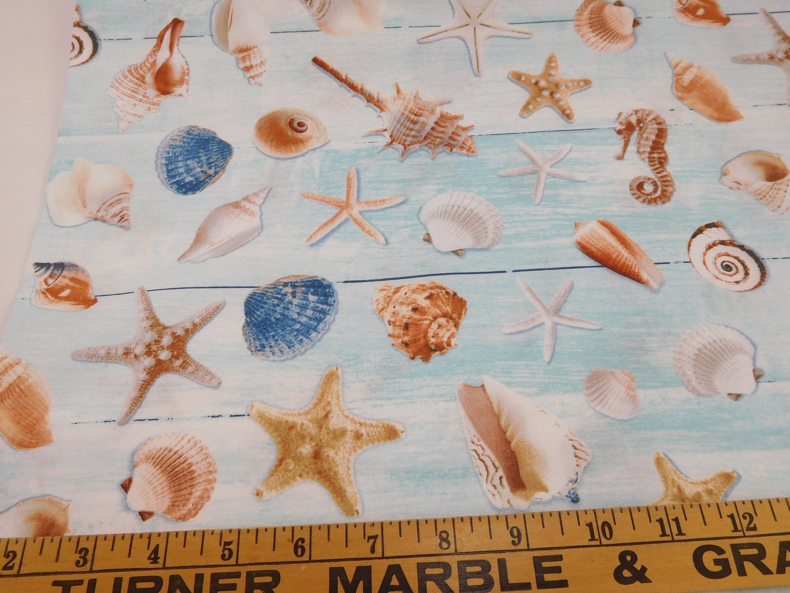 852 Beach Aqua Seashells Fabric Fabric By the Yard Fat Etsy