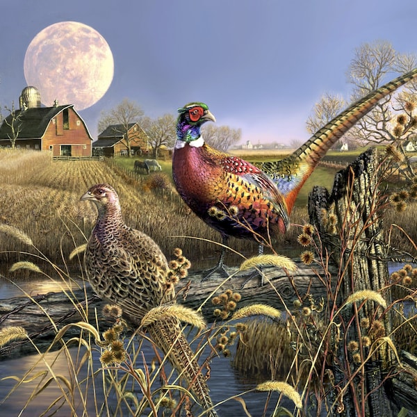 1286 Harvest Moon Pheasants Panel, David Textiles Exclusive Quilting Panel for wall hanging, hunter quilt, lap quilt. Bird, wildlife cushion