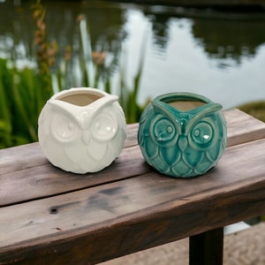 May include: Two ceramic owl planters, one white and one teal blue. The planters are shaped like owls with large eyes and a beak.