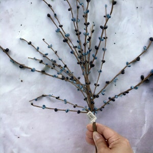 May include: A decorative floral stem featuring small, round, blue and black berries. The berries are clustered along thin, brown branches, creating a natural, textured appearance. The stem is held by a hand against a white background.