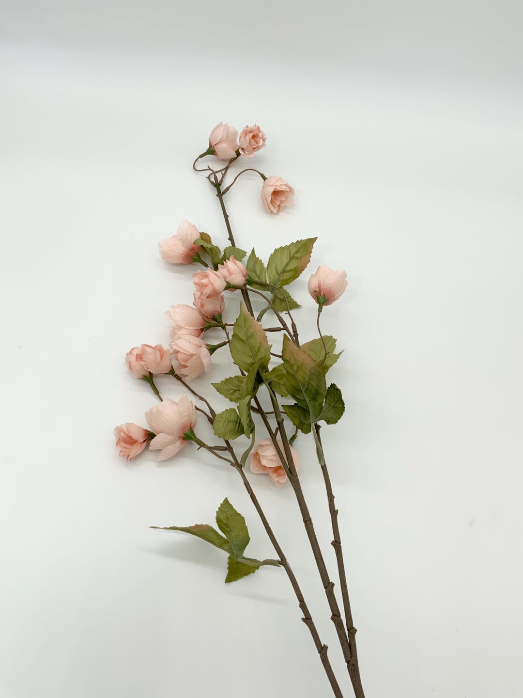 Pink Hops Rose Stem, 31.5
