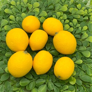 May include: Seven bright yellow lemons with textured surfaces are arranged on a bed of green leafy foliage. The lemons vary slightly in shape, some round and others more oval. The overall composition suggests a fresh, natural theme.