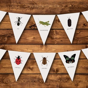 Instant Download Bug Banner | Printable PDF Banner