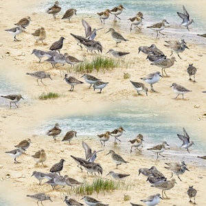 Cotton beach runner, BY THE SEA, shells, seagulls, seabirds, sandy beach, maritime, birds, sewing, patchwork fabric, fabric, 0.50 m