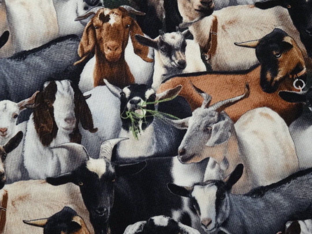 Goat fabric cheap
