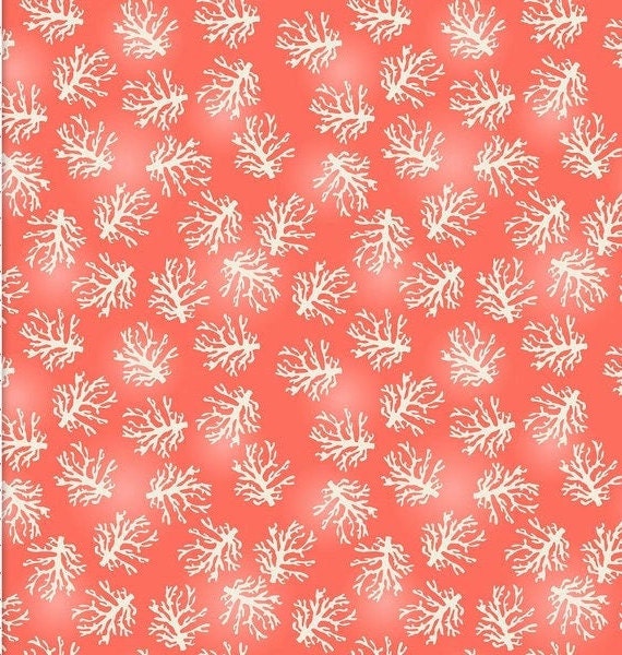 Baumwolle Korallen, Unterwasserwelt, Steinkorallen, Korallenriffe