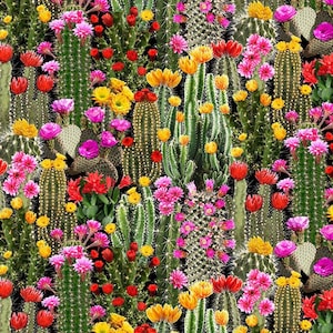 Baumwolle Blühende Kakteen, KAKTUS,  KAKTEEN, Blüten, nähen, Patchworkstoff, Stoff, 0,50m
