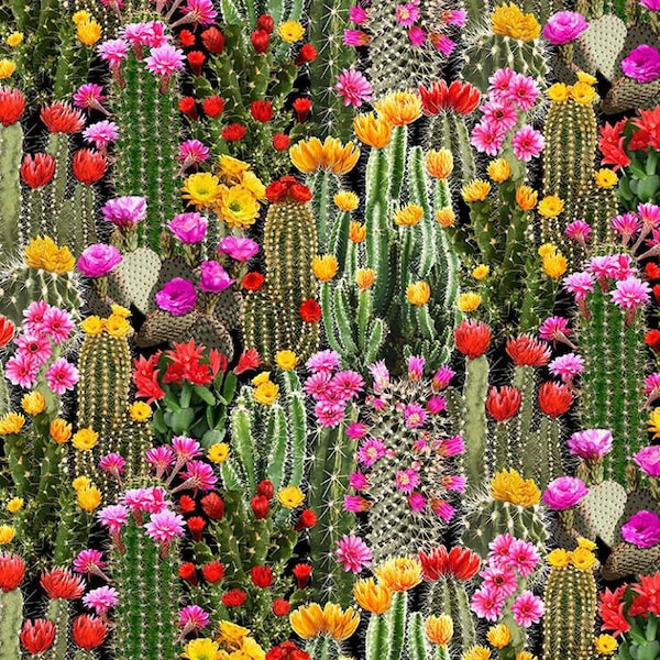 Cotton fabric blooming cacti, CACTUS, CACTUSES, flowers, fabric, cotton, 0.50 m