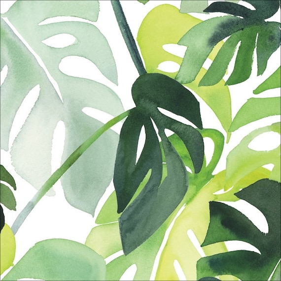 BESCHICHTETE BAUMWOLLE Monstera Wachstuch, Laminiert, Pflanzen, Gummibaum,  Fensterblatt, nhen, Nhzubehr, Stoff, 0,25m - Etsy.de