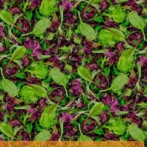 Könnte beinhalten: Eine Mischung aus frischem Salat mit leuchtend grünen und tiefvioletten Blättern. Das Sortiment umfasst verschiedene Texturen von Blattsalat und jungen Trieben, dargestellt neben einem gelben Maßband mit 25 cm Länge.
