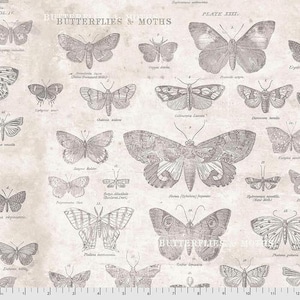Peut inclure: Une impression de style vintage présentant des illustrations détaillées de divers papillons et papillons de nuit dans des tons gris sur un fond crème. Le texte "Butterflies & Moths" est visible.