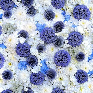 May include: A close-up of a floral arrangement featuring a variety of flowers in shades of white, blue, and purple. The arrangement includes white chrysanthemums, blue hydrangeas, and spiky blue globe thistles, creating a textured and colorful display.