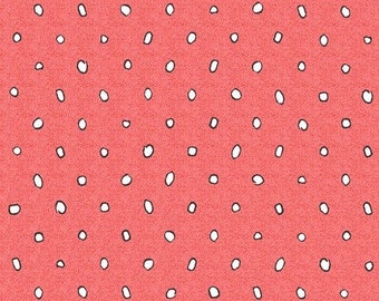 Baumwolle Punkte Dots, Kreise, Stoff, Baumwollstoff, nähen, Webware, 0,50m