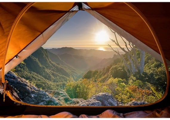 Retro Camping Stoffe Mit Camping Motiven Caravan Stoff Mit Camping