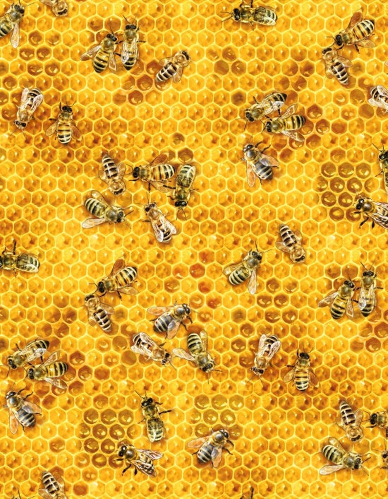 Baumwolle Bienen BIENENSTICH Biene HONIGBIENE, Honig, Imker, Bienenvolk, Bienenhonig, Imkern, Patchworkstoff, nähen, Stoff, 0,50m Bild 1