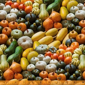 Könnte beinhalten: Eine große Ansammlung verschiedener Kürbisse in unterschiedlichen Formen, Größen und Farben, darunter Orange, Weiß, Grün und Gelb. Ein gelbes Maßband mit schwarzen Markierungen ist am unteren Rand des Bildes deutlich zu erkennen.