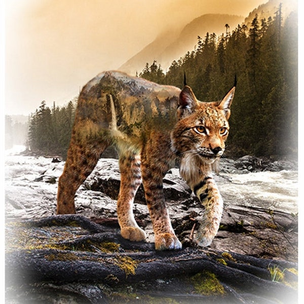 Baumwolle LUCHS Katze Wasserfall, Natur, Wildkatze, Digitaldruck, nähen, Patchworkstoff, Stoff, 85 cm x 110 cm !, Panel,