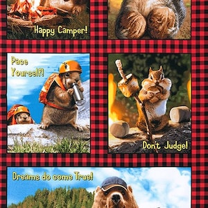 Könnte beinhalten: Eine Collage aus vier Bildern mit Comic-Tieren und humorvollen Bildunterschriften. Das obere linke Bild zeigt ein Eichhörnchen mit Cowboyhut, das Mundharmonika spielt, mit der Bildunterschrift "Happy Camper!" Das obere rechte Bild zeigt ein Eichhörnchen, das Nüsse hält, mit der Bildunterschrift "Go Nuts!" Das untere linke Bild zeigt ein Eichhörnchen mit einer Schwimmweste, das eine Thermoskanne hält, mit der Bildunterschrift "Pace Yourself!" Das untere rechte Bild zeigt ein Eichhörnchen, das Marshmallows brät, mit der Bildunterschrift "Don't Judge!"