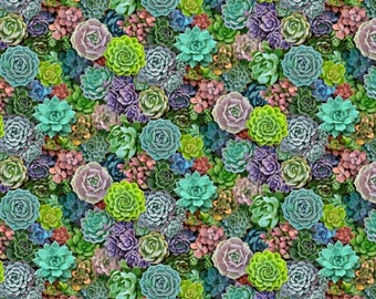 Succulente di cotone cucire pietre vive, cactus, cactus, piante, botanico, piante, tessuto patchwork, tessuto, 0,50 m