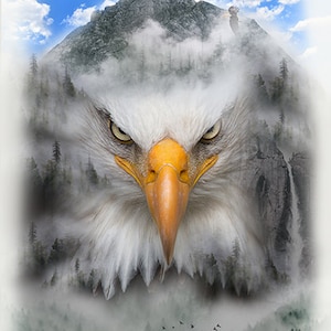 Cotton EAGLE, 75 cm x 110 cm!, panel, king of the skies, birds of prey, birds, mountains, nature, forest, free, sewing, patchwork fabric, fabric