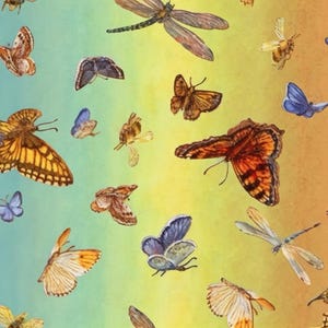 Cotton fabric with butterflies, dragonflies, and bees – Spirit of Flight design; vibrant natural fabric for bags, cushions, patchwork quilts; 3 Wishes, 0.5 m