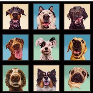 Puede incluir: Una cuadrícula de nueve retratos cuadrados de diferentes razas de perros. Cada perro está centrado en su propio cuadrado, con un fondo de color sólido. Los perros incluyen un Doberman, un Husky, un Labrador y un Carlino, entre otros. Los perros están mirando al espectador.