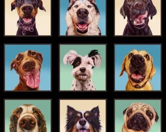 Cotton fabric dog panel Follow Your Nose – Elisabeth’s Studio dog fabric, black, patchwork fabric, animal motif, dog lovers, sewing