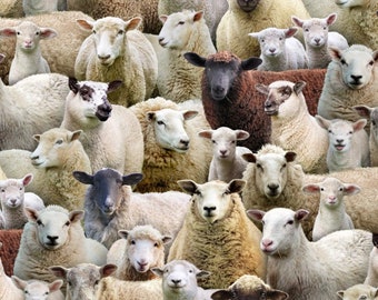 Katoen SCHAPEN, schapen, lammeren, bok, ram, ooi, Au, Aue, Zibbe, jonge schapen, lam, wol, katoenen stof, naaien, stoffen, 0,50 m