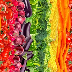 Carota Pomodoro Cipolla Melanzana Peperone Broccoli Cavoletti di Bruxelles Mais Carota VERDURE Tessuto di cotone vegano vegetariano 0,50 m
