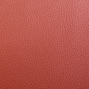 May include: Close-up of a textured, reddish-brown leather surface.