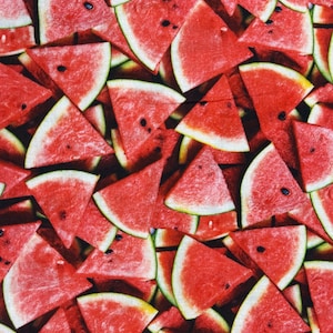 Baumwollstoff Wassermelonen – Melonenstoff von Windham Fabrics für Nähen, Patchwork, Quilten, Taschen & Deko, 0,5 m