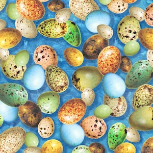 Può includere: Uno sfondo blu con una varietà di uova macchiate di colori. Le uova sono di diverse dimensioni e forme, e alcune hanno una macchiatura più pronunciata di altre.