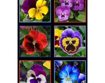 Algodón PANSY violetas costura, viola, violetas cornudas, 15 motivos, tela patchwork, tela, 0,59 m