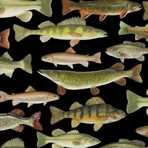 May include: A repeating pattern of various freshwater fish species including perch, trout, and pike, illustrated with realistic colours and textures against a solid black background. The fish are depicted in profile, showcasing scales, fins, and gills.