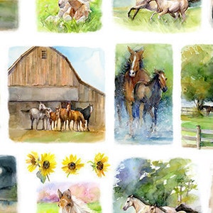 Puede incluir: Una pintura de acuarela que presenta una variedad de escenas con caballos. Las escenas incluyen caballos en un granero, caballos en un campo, caballos en un río y caballos en un establo. La pintura está realizada en una paleta suave y tenue de marrones, verdes y azules.