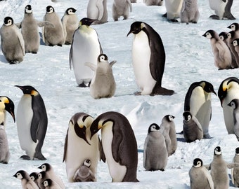 10er Set Pinguin Aufstellfiguren Tierfigur Miniblings Gummitier Antarktis Pingui 10er Set Pinguin Aufstellfiguren Tierfigur Miniblings Gummitier Antarktis Pingui