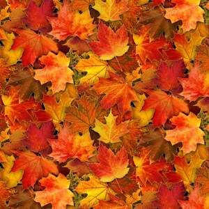 Baumwolle Blätter METALLIC, Laub Herbst, mit feinem Goldrand, Ahornbaum, Amberbaum, nähen, Stoff, 0,50 m