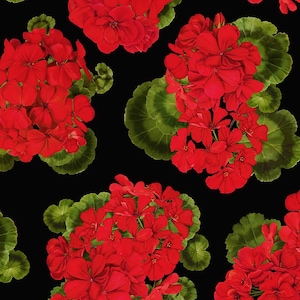 Può includere: Un motivo senza cuciture con fiori di geranio rossi e foglie verdi su uno sfondo nero.