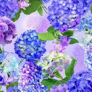 Op de afbeelding: Een levendig bloemenpatroon met trossen blauwe, paarse en lavendelkleurige hortensiabloemen, afgewisseld met weelderige groene bladeren. Het ontwerp toont diverse tinten blauwe en violette bloemblaadjes tegen een zachte, lichtpaarse achtergrond.
