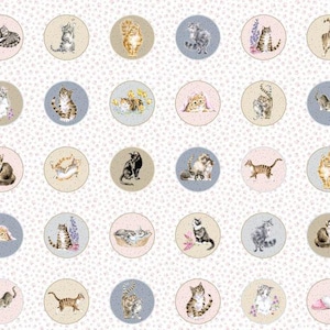 Peut inclure: Un fond blanc avec un motif répétitif de cercles contenant diverses illustrations de chats. Chaque cercle a une couleur de fond différente, y compris le rose, le bleu et le beige. Les chats sont représentés dans diverses poses, notamment en train de dormir, de jouer et de se toiletter.