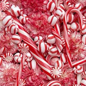 Baumwolle „Candy Cane Delight“ – Maywood Studios Weihnachtsstoff mit Zuckerstangen & Blumen Patchworkstoff, Rückseitenstoff, Nähen, 0,30 m