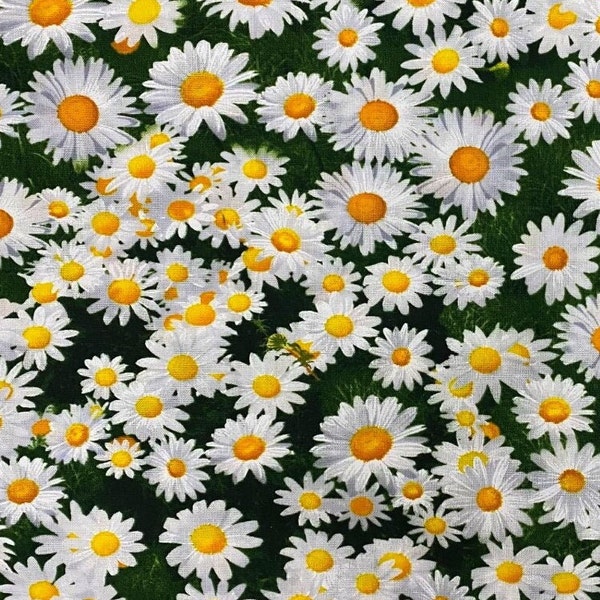 Daisies, daisies, flowers, blossoms, meadow, cotton fabric, fabric, woven fabric, 0.50 m