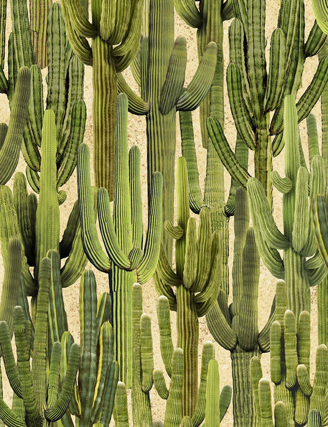 Baumwollstoff Kakteen Kaktus Sukkulenten botanischer Stoff Patchworkstoff  fr Taschen Kissen Nhen Deko Meterware 0,5 m - Etsy.de