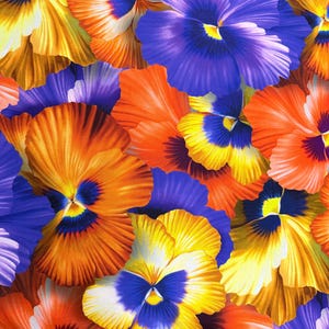 Baumwollstoff Stiefmütterchen Hornveilchen – große Viola Blüten XXL Print in Orange, Patchwork, Quilts, Kissen, Taschen & Deko nähen 0,5 m