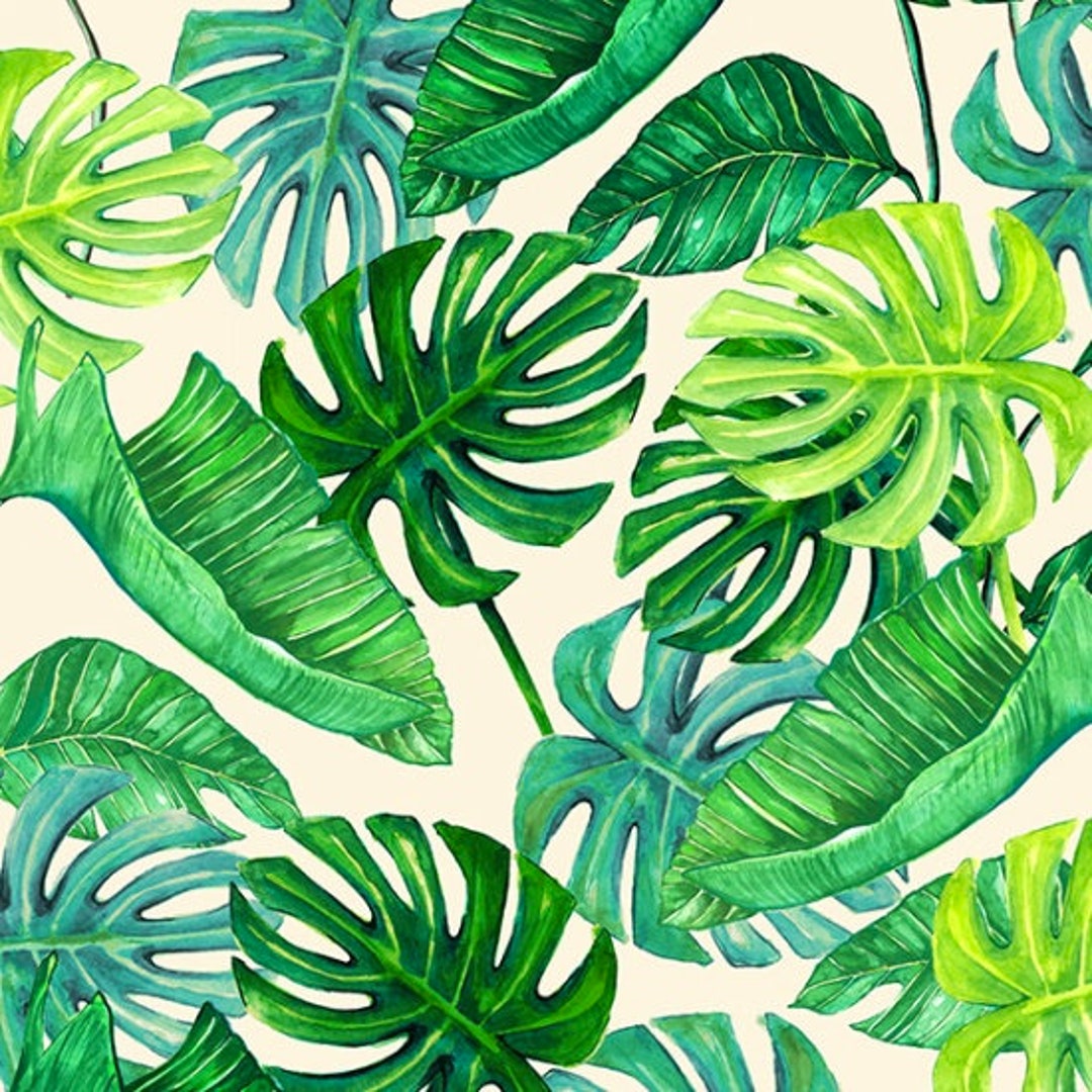 Baumwolle Monstera Strelitzie Ficus Gummibaum, Botanisch, Fensterblatt,  Blumenampel, Zimmerpflanzen, nhen, Patchworkstoff, 0,50m - Etsy.de