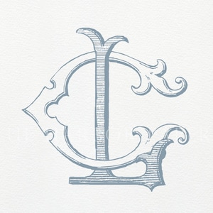 May include: A light blue monogram featuring the letters "L" and "G" intertwined. The design has an ornate, vintage style with decorative flourishes and a textured appearance, set against a white background.