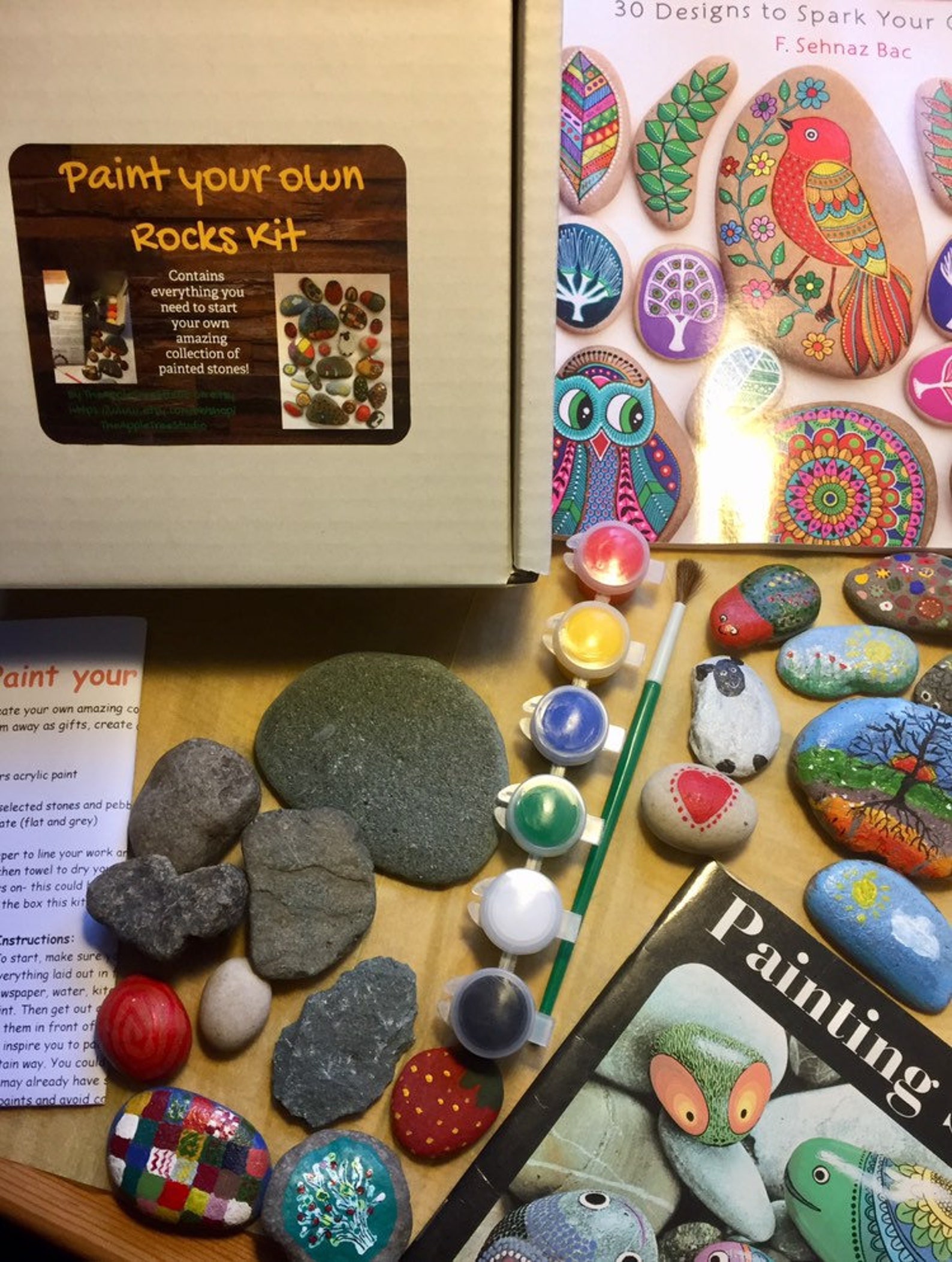 Paint your own rocks kit. Includes 5 beautiful rocks and Etsy