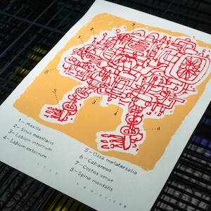 Silkscreen Print