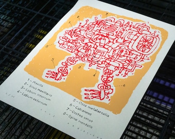 Silkscreen Print